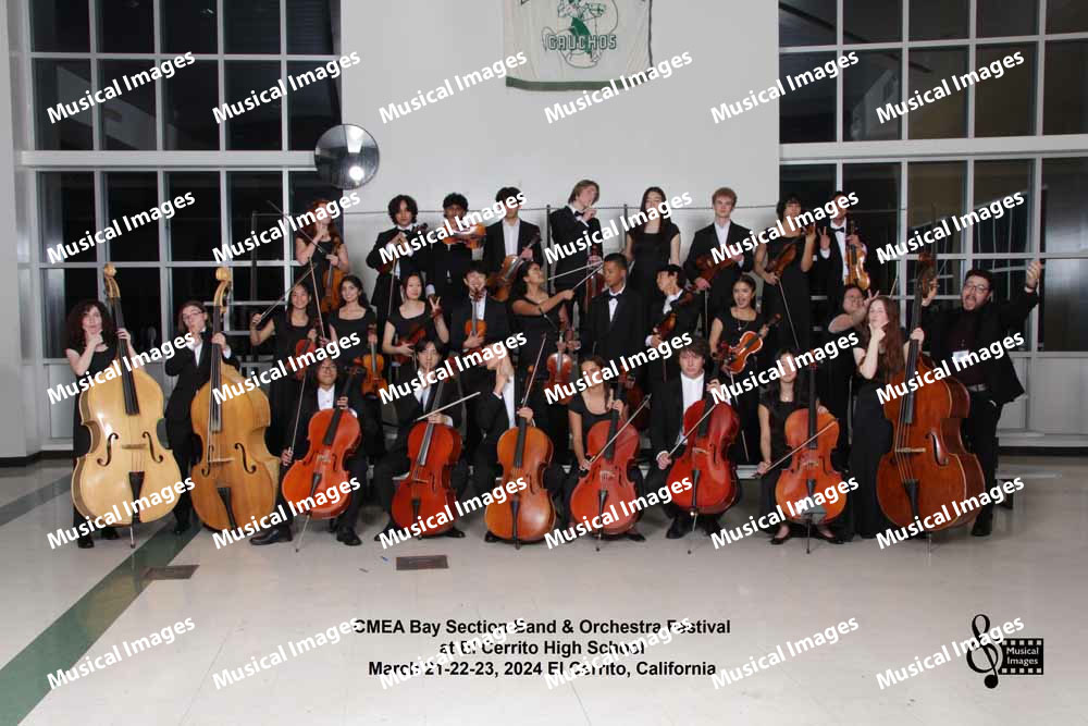 Musical Images
